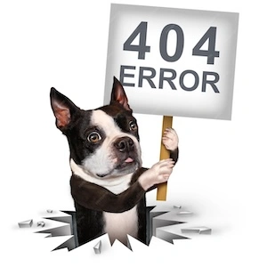 404 Page Not Found