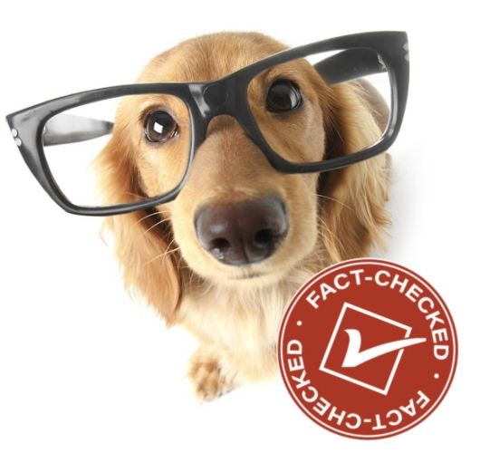 Dog wearing glasses and seal which says Fact Checked.