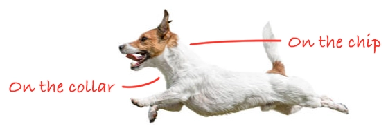Add FoundCall number to pets collar and microchip.